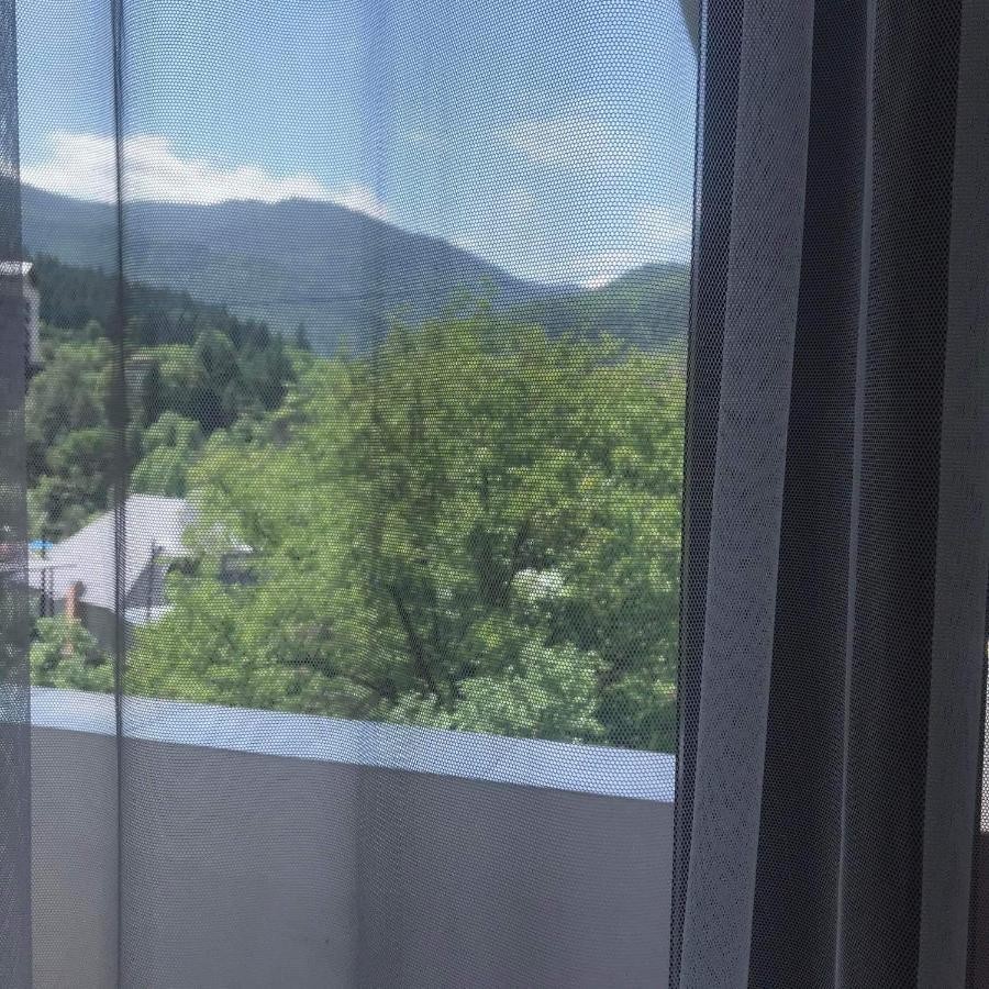 Zviad Guest House Borjomi Exterior photo