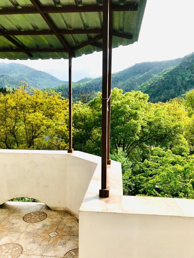 Zviad Guest House Borjomi Exterior photo